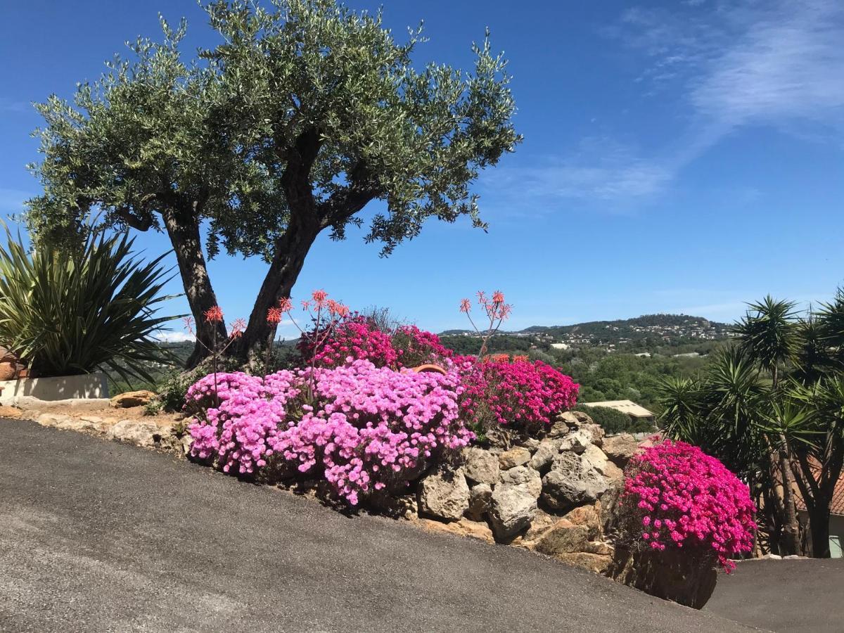 3 Bedrooms Villa Near Cannes - Pool & Jacuzzi - Sea View Mandelieu La Napoule Bagian luar foto