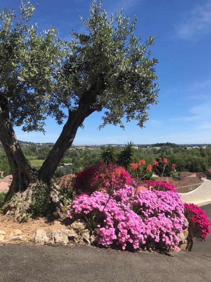3 Bedrooms Villa Near Cannes - Pool & Jacuzzi - Sea View Mandelieu La Napoule Bagian luar foto